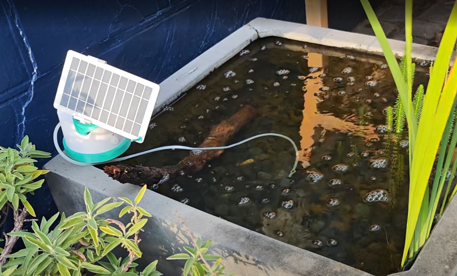 Solar pond aerator in action